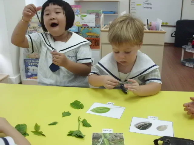 两个孩子一起检视树叶和自然物品。