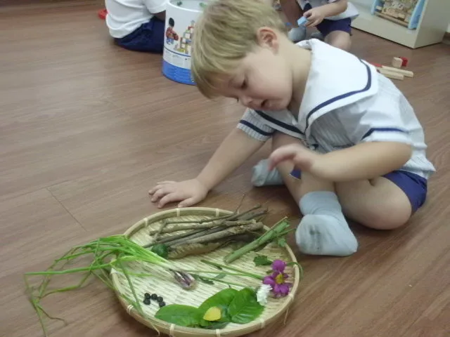 幼儿检视摆放在托盘上的自然材料。